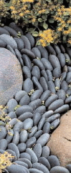 LandEscapes